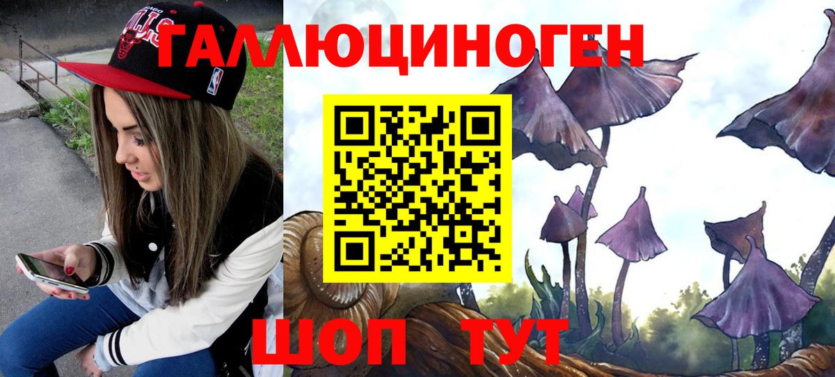 Прохладный  Галлюциногенные грибы прущие грибы  Псилоцибиновые грибы Psilocybine cubensis  Вход с VPN 
