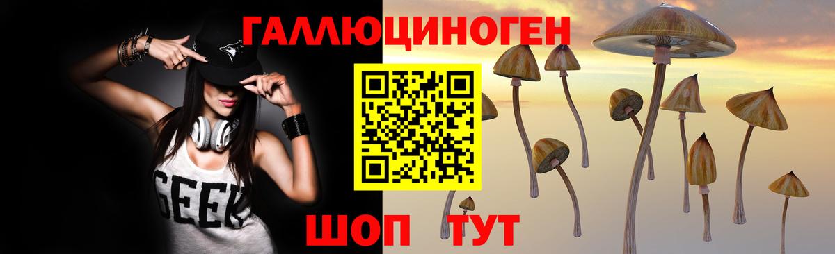 Псилоцибиновые грибы прущие грибы Прохладный